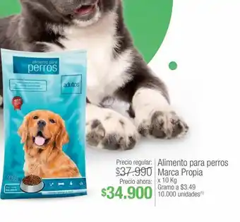 Jumbo Alimento para perros marca propia x 10 kg oferta