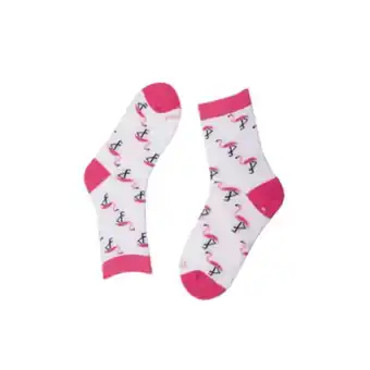 Media flamingo