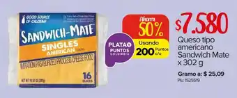 Super Inter Sandwich Mate Queso tipo americano x 30g oferta