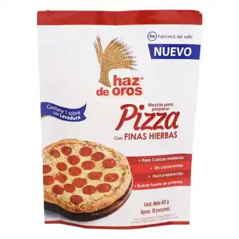 Éxito Mezcla pizza finas hierbas haz de oros 457 gr oferta