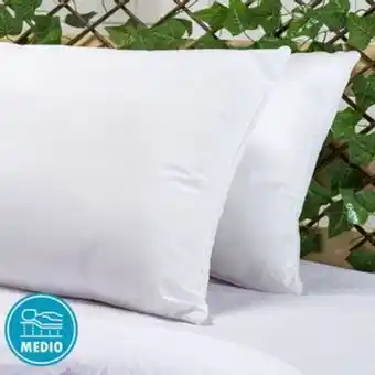 Brissa Juego de 2 almohadas en tela 144 hilos con embone blanco oferta