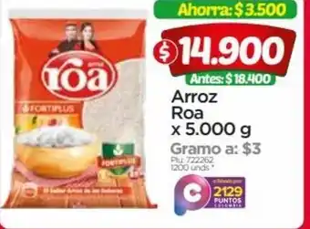 Surtimax Roa Arroz x 5000g oferta