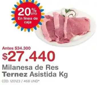 Milanesa de Res Ternez Asistida