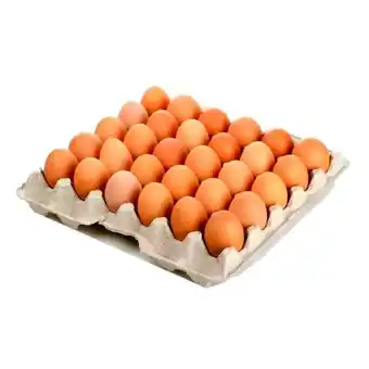 MegaTiendas Huevos rojos avinal tipo a x 30 unds oferta