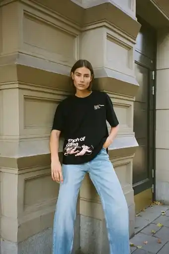 Zara Camiseta triumph of galatea oferta