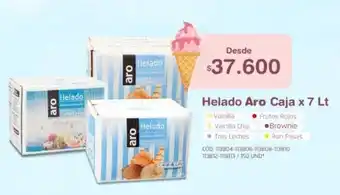 Makro Aro Helado Caja x 7 Lt oferta