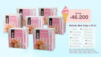 Makro Aro Helado Caja x 10 Lt oferta