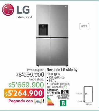 Jumbo Nevecón lg oferta
