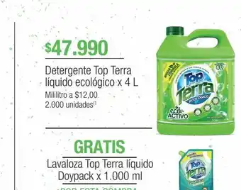 Jumbo Detergente top terra líquido ecológico x 4 l oferta