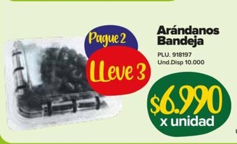 Super Inter Arandanos Bandeja oferta