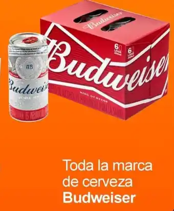 Surtimax Budweiser Toda la marca de cerveza oferta