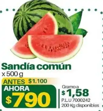 Sandía Común 500g