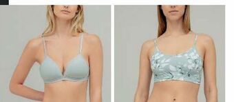 Jumbo Brasier desde oferta
