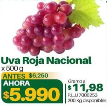 Supermercados Surtiplaza Uva Roja Nacional 500g oferta