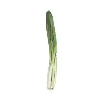 Makro Cebolla larga rama kg oferta