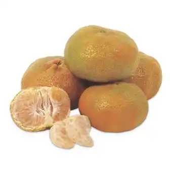 Makro Mandarina arrayana kg oferta