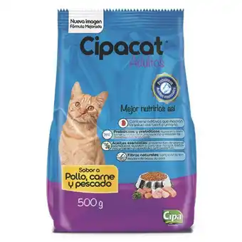 Makro Alimento gato cipacat adulto x500g oferta