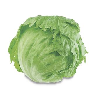 Makro Lechuga batavia granel kg oferta