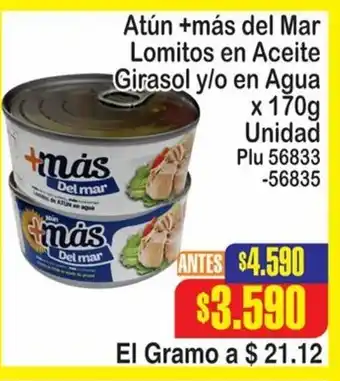 Atun + Mas Del Mar