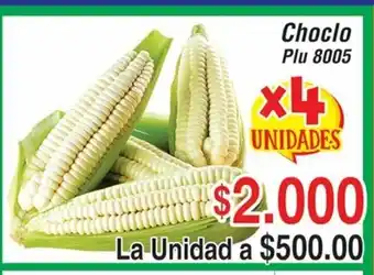 La Gran Colombia Choclo oferta