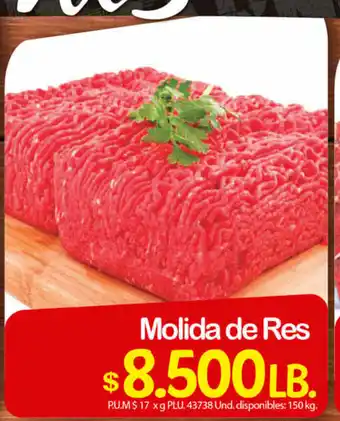 Molida De Res