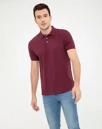Polo josh vinotinto