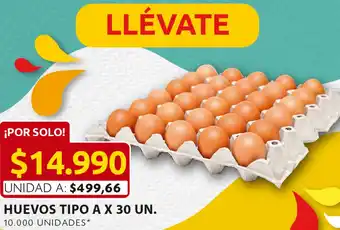 Ara Huevos Tipo A x 30un oferta