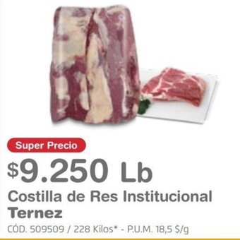 Makro Costilla de Res Institucional TERNEZ oferta