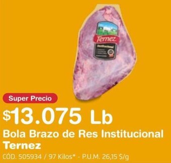 Makro Bola Brazo de Res Institucional TERNEZ oferta