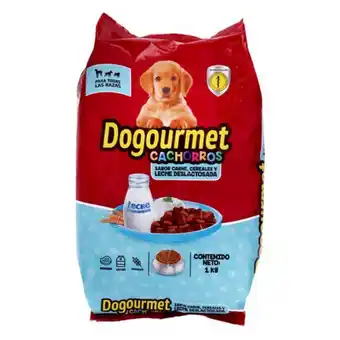 Makro Alimento de perros dogourmet cachorros leche 1kg oferta
