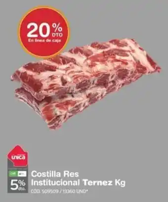 Makro Costilla Res Institucional Ternez x kg oferta