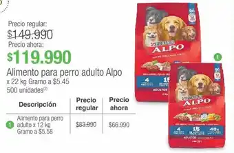 Jumbo Alimento para perro adulto alpo x 22 kg oferta