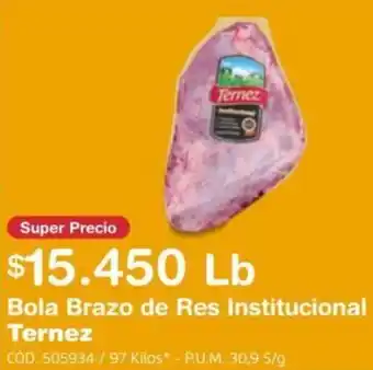 Makro Bola Brazo de Res Institucional Ternez oferta