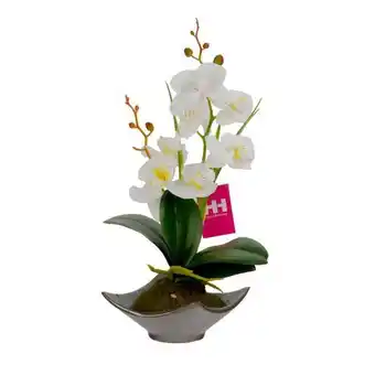 Superdroguería Olímpica Planta artificial h&h orquídea blanco 456-55192 oferta