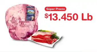 Makro Sobrebarriga Gruesa de Res Institucional Ternez oferta