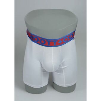 Boxer