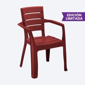 Silla barú con brazos trendy - edición limitada