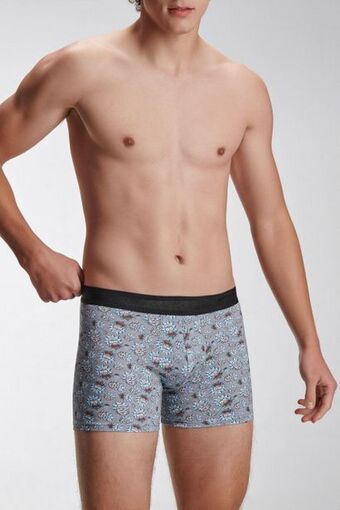 Koaj Boxer brief estampado de rick & morty oferta