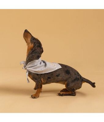 Offcorss Pañoleta para mascotas oferta