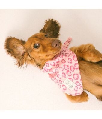 Pañoleta para mascotas