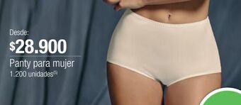 Jumbo Panty oferta