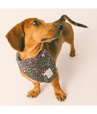 Offcorss Pañoleta para mascotas oferta