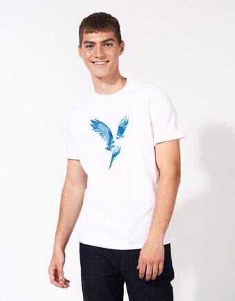 American Eagle Camiseta gráfica ae ultra suave oferta