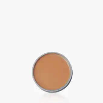 Yanbal Repuesto protector compacto color spf100 total block beige oscuro oferta