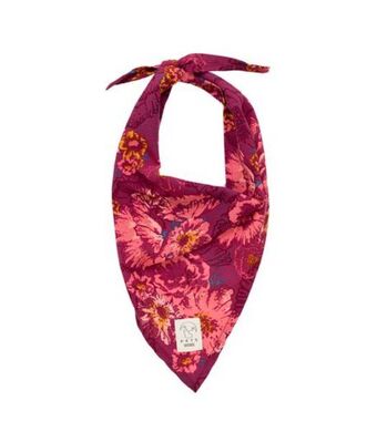 Offcorss Pañoleta para mascotas oferta