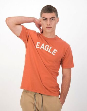 American Eagle Camiseta gráfica ae ultra suave oferta