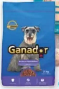 Éxito Alimento para perros original, adulto raza pequeña x 2.000 g • Ganador Adulto oferta