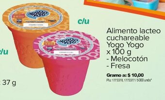 Surtimax Alimento lacteo cuchareable Yogo Yogo x 100g oferta