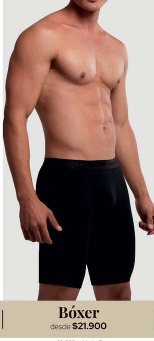 Jumbo Boxer oferta