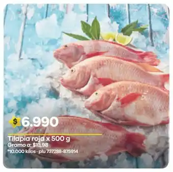 Éxito Tilapia roja x 500 g oferta